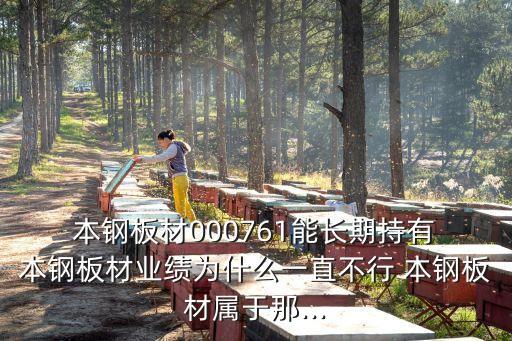  本鋼板材000761能長期持有 本鋼板材業(yè)績?yōu)槭裁匆恢辈恍?本鋼板材屬于那...