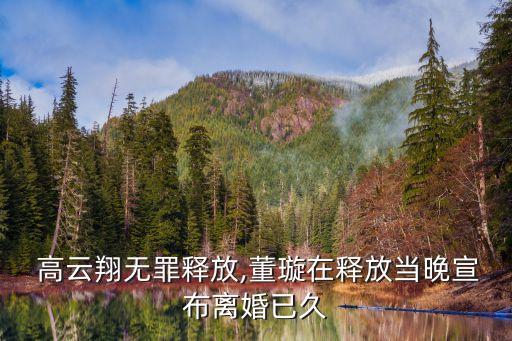 高云翔案最終裁決再生波折
