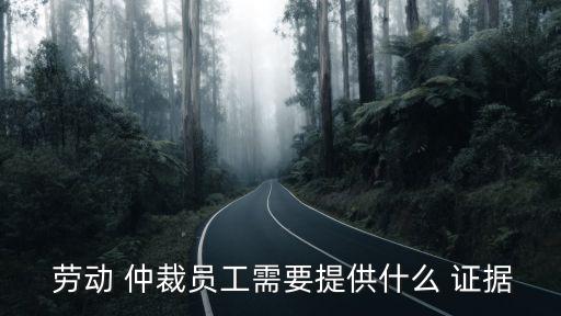 勞動仲裁最有力的證據(jù)是什么,被辭退勞動仲裁最有力的證據(jù)