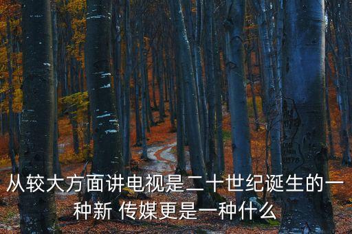 從較大方面講電視是二十世紀(jì)誕生的一種新 傳媒更是一種什么