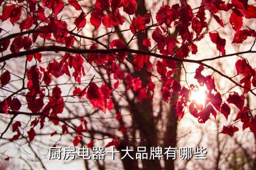愛(ài)妻凈水器