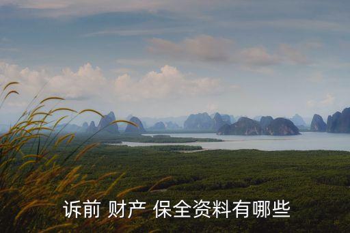  訴前 財產(chǎn) 保全資料有哪些