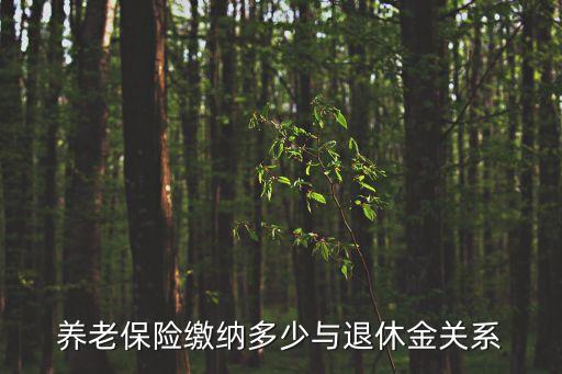 養(yǎng)老金保險(xiǎn)