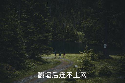 翻墻后連不上網(wǎng)