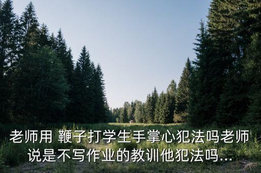 用鞭子打人,印度用鞭子打人