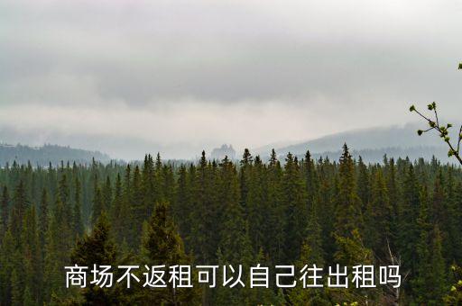  商場(chǎng)不返租可以自己往出租嗎