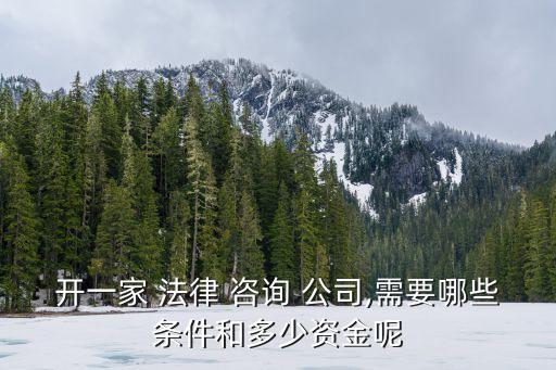 開一家 法律 咨詢 公司,需要哪些條件和多少資金呢