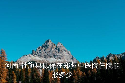 河南 社旗縣低保在鄭州中醫(yī)院住院能報(bào)多少