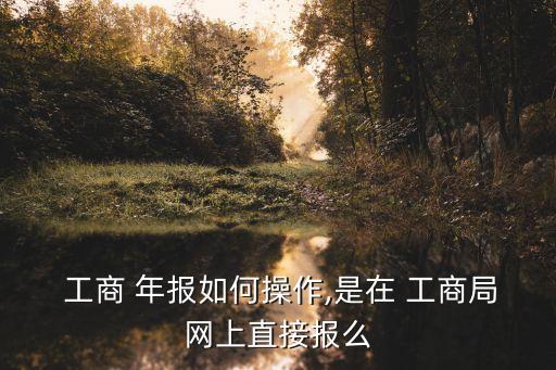 企業(yè)工商年報(bào)