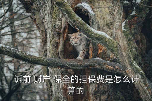  訴前 財(cái)產(chǎn) 保全的擔(dān)保費(fèi)是怎么計(jì)算的