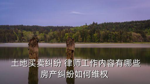  土地買賣糾紛 律師工作內(nèi)容有哪些房產(chǎn)糾紛如何維權(quán)