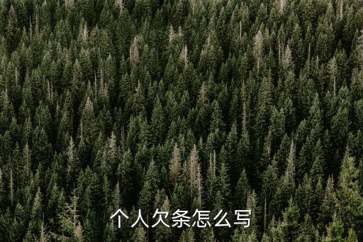 2022年正規(guī)個(gè)人借條圖片,正規(guī)個(gè)人借條模板