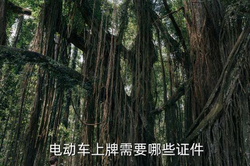電動車上牌照需要什么手續(xù),電動摩托車上牌照需要什么手續(xù)