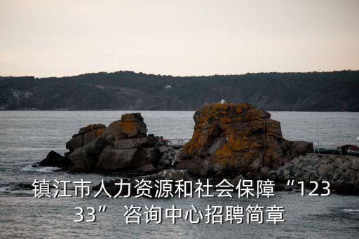  鎮(zhèn)江市人力資源和社會保障“12333” 咨詢中心招聘簡章