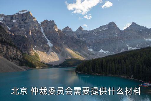 北京 仲裁委員會(huì)需要提供什么材料