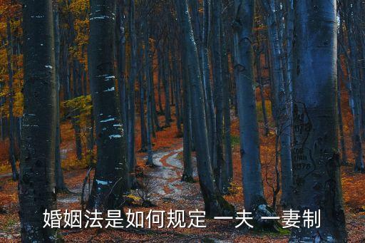 一夫一妻