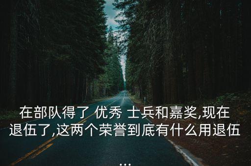 優(yōu)秀士兵證章