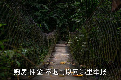購(gòu)房 押金 不退可以向哪里舉報(bào)
