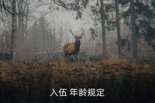 入伍 年齡規(guī)定