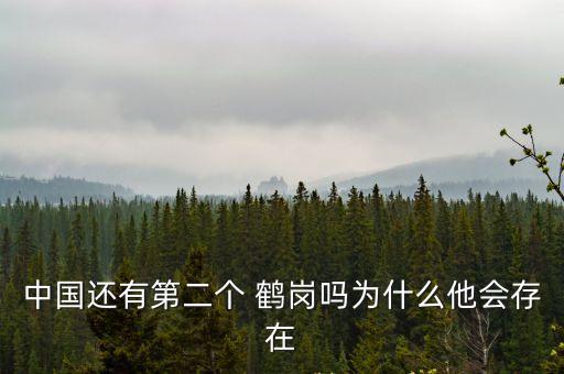 鶴崗在哪里,四川小鶴崗在哪里