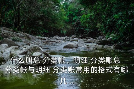 總分類賬戶