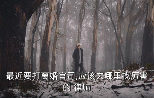 專打離婚案的律師,昆明專打離婚案的律師