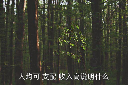 國民可支配收入,2023國民可支配收入