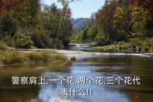 警察肩上,一個(gè)花,兩個(gè)花,三個(gè)花代表什么!!