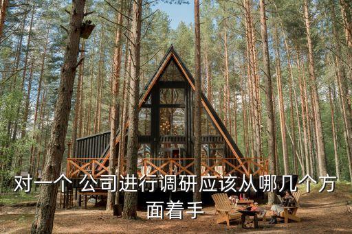 對一個 公司進行調(diào)研應該從哪幾個方面著手
