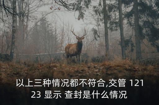 以上三種情況都不符合,交管 12123 顯示 查封是什么情況