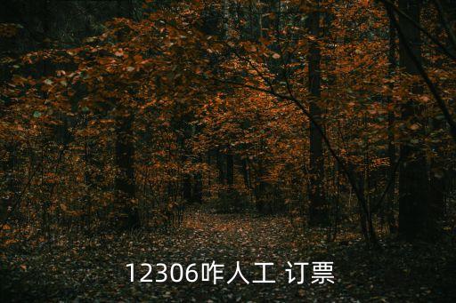  12306咋人工 訂票