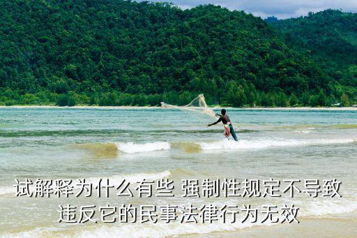 試解釋為什么有些 強(qiáng)制性規(guī)定不導(dǎo)致違反它的民事法律行為無(wú)效