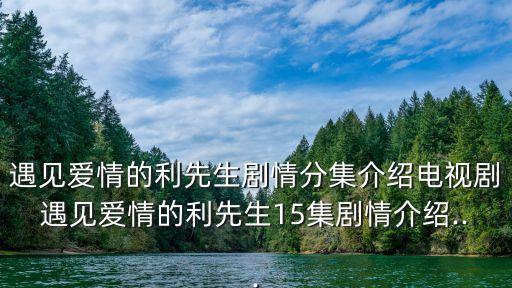 遇見愛情的利先生劇情分集介紹電視劇遇見愛情的利先生15集劇情介紹...