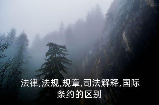  法律,法規(guī),規(guī)章,司法解釋,國(guó)際條約的區(qū)別