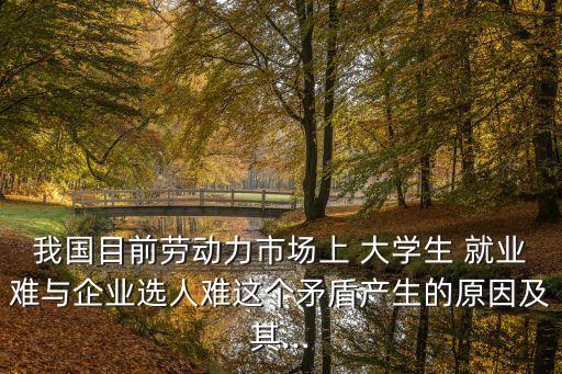 大學(xué)生就業(yè)問題及對(duì)策