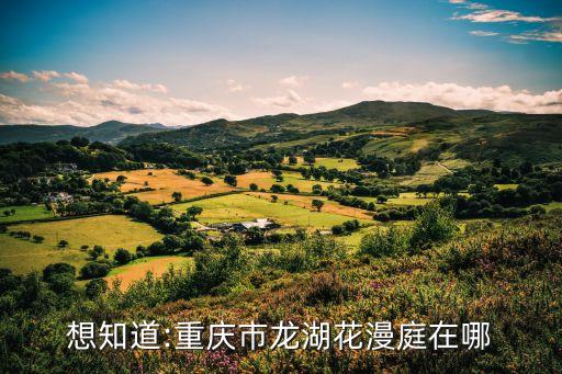 龍湖東橋郡,大學城龍湖東橋郡