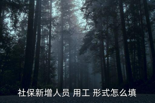 社保新增人員 用工 形式怎么填