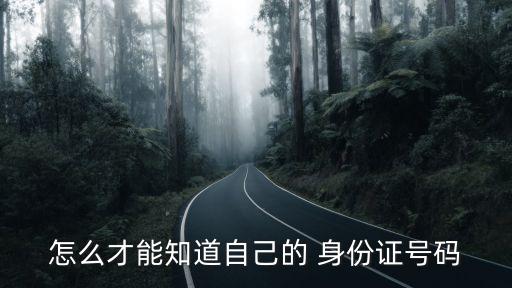 怎么才能知道自己的 身份證號碼
