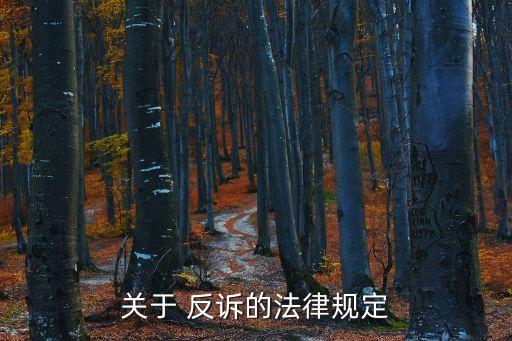 關于 反訴的法律規(guī)定