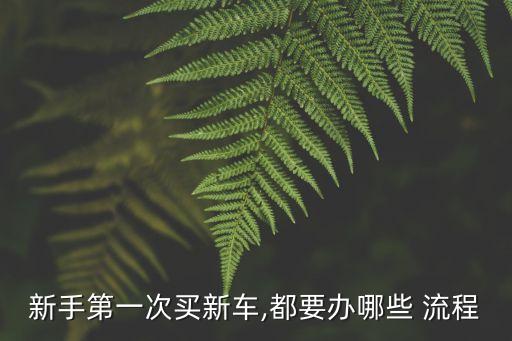 購車流程,瓜子二手車購車流程