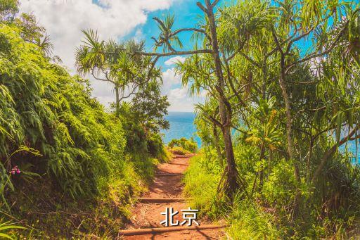 劉偉北京