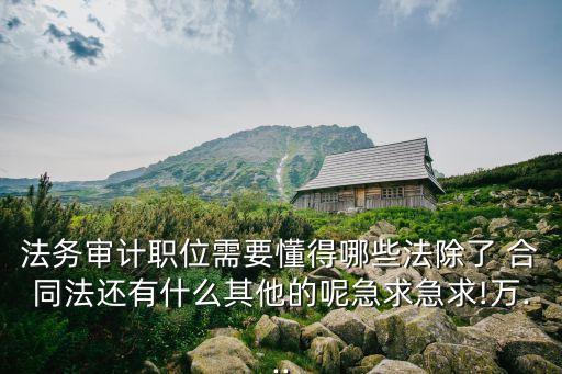 法務審計職位需要懂得哪些法除了 合同法還有什么其他的呢急求急求!萬...