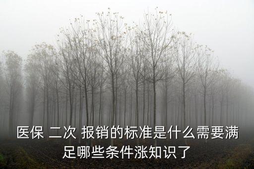 二次報(bào)銷