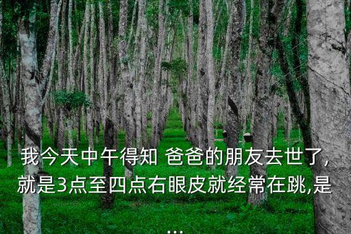 爸爸的朋友3