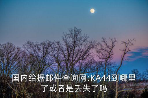 國(guó)內(nèi)給據(jù)郵件查詢網(wǎng):KA44到哪里了或者是丟失了嗎