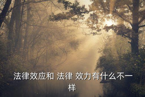  法律效應(yīng)和 法律 效力有什么不一樣