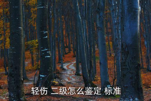  輕傷 二級怎么鑒定 標準