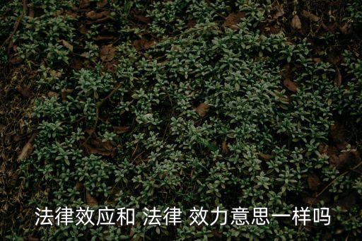 法律效益還是效力,雙方簽訂協(xié)議具有法律效應嗎