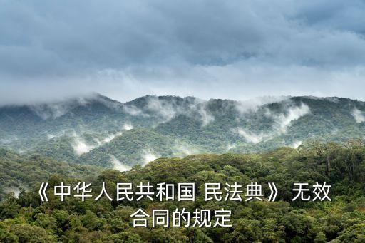 《中華人民共和國 民法典》 無效 合同的規(guī)定