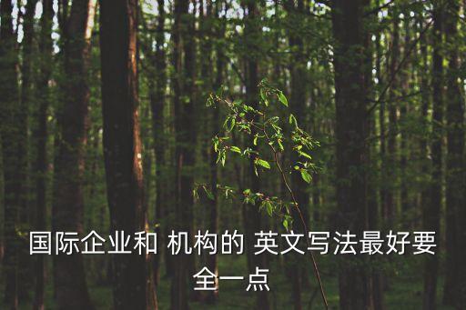 國際企業(yè)和 機(jī)構(gòu)的 英文寫法最好要全一點(diǎn)